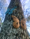 Close up of face butterflies in a tree trunk 2 Royalty Free Stock Photo