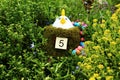 The easter countdown