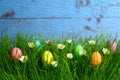 Eastereggs in eastergrass and daisy flowers