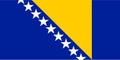 The picture shows the flag of Bosnia and Herzegovina
