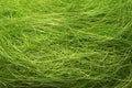 Green easter grass