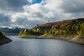 A big reservoir with a bridge in the distance. The reservoir is surrounded by spruce, oak and pine trees Royalty Free Stock Photo