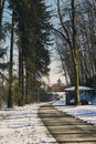 Main path through the forrest of st. poelten in winter season Royalty Free Stock Photo