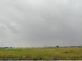 rice fields and cloudy weather Royalty Free Stock Photo