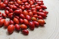 Rosehips on wooden ground