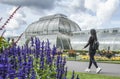 Kew Garden, the tropical greenhouse. Royalty Free Stock Photo