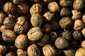 Walnuts Royalty Free Stock Photo