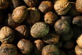 Walnuts Royalty Free Stock Photo