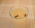 A wasp on a glass with juice