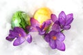 Wonderful easter decoration in the snow Royalty Free Stock Photo
