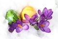 Wonderful easter decoration in the snow Royalty Free Stock Photo