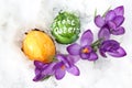 Wonderful easter decoration in the snow Royalty Free Stock Photo