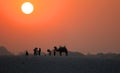 Picture of silhouette of people and camel at the sunrise in Ganges River