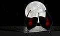 Picture of Silhouette Red Wine in a clear glass to celebrate the Full Moon. There is a reflection on the river or sea. The sky is Royalty Free Stock Photo