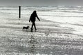 Woman with dog walking at the stormy seacoast Royalty Free Stock Photo