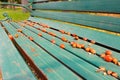 A picture of sitting chairs in garden ,