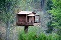 Picture of a small wooden bird house in resort and small green tree in picture. Selective focus, Selective Focus On Subject, Royalty Free Stock Photo