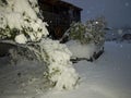Picture with snow covered car. A snowy tree fell on the car. White snow covered the courtyard