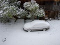 picture with snow covered car. A snowy tree fell on the car. White snow covered the courtyard