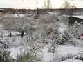 Picture with snow covered car. A snowy tree fell on the car. White snow covered the courtyard