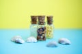 Picture with soft focus of three tiny glass jar with buckwheat, millet, sugar with shells on blue and yellow background, top view Royalty Free Stock Photo