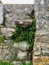 Stile in wall, Clonmacnoise Monastery, County Offaly, Ireland