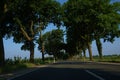 Picture of a street with trees and a blue sky