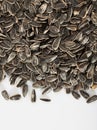 Sunflower black seeds on white background close up, nobody