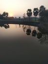 Picture of sunset and shadow of the sun in water or plam tree