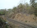 Seen of another railway track and jungle Royalty Free Stock Photo