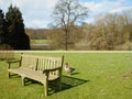 Duck and bench in the park