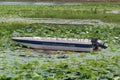 Boat Lived alone and abandoned in Pond Water