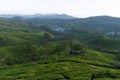 Tea plantations and mountain ranges covered in fog in Munnar Royalty Free Stock Photo