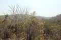 Seen of mountain while train going through jungle Royalty Free Stock Photo