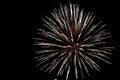 Canada day fireworks in the sky 10 Royalty Free Stock Photo