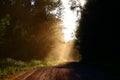 Hazey road in Algonquin Park Royalty Free Stock Photo