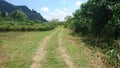 Natural grassland with blue sky