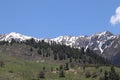 Snow on Mountian in kumrat valley