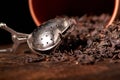 Picture of the tea strainer with dried tea leaves and sticks of cinnamon isolated on dark wooden background