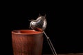 Picture of the tea strainer with dried tea leaves and sticks of cinnamon isolated on dark wooden background