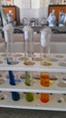 Test tubes in test tube stand