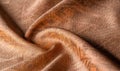 Picture. Texture, background. brown tapestry. From Santee Print Works, this cotton fabric is perfect for quilting accents, your