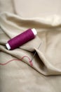 Picture of thread and needle attached in cloth with Sewing thread Royalty Free Stock Photo