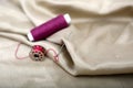 Picture of thread and needle attached in cloth with Sewing thread and bobbin Royalty Free Stock Photo