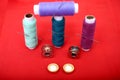 Picture of threads, needles, bobbin, and button