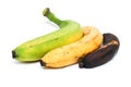 Maturement of three ordinary bananas Royalty Free Stock Photo
