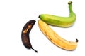 Maturement of three ordinary bananas Royalty Free Stock Photo