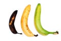 Maturement of three ordinary bananas Royalty Free Stock Photo