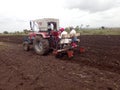 The picture of tractor cultivation of sunflower.