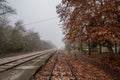 Railway tracks, rails and switches platforms in a rural train station in Palic Serbia, taken during a smog autumn afternoon Royalty Free Stock Photo